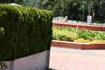 цялостно озеленяване на обществени градини